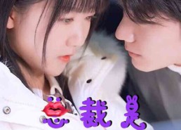 【总裁是闪婚老公】21集短剧免费在线观享