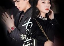 【为你披荆斩棘】90集短剧在线免费畅看全集