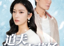 【追夫火葬场】31集免费在线短剧全集赏