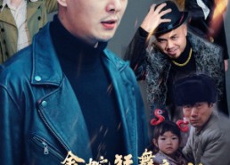 【金蛇狂舞之天下无贼】52集免费短剧全集速看