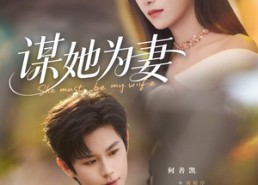 【谋她为妻】82集短剧完整版在线播放