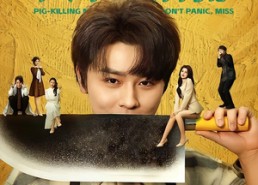 【杀猪神医，大小姐别慌】80集短剧免费在线品鉴