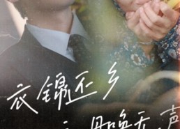 【衣锦还乡之母唤无声】60集高清短剧免费畅看