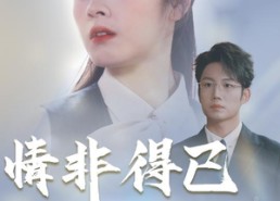 【情非得已】30集免费短剧在线全览看