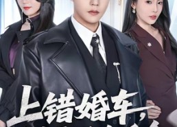 【上错婚车，错娶绝色千金】80集短剧完整版免费畅看