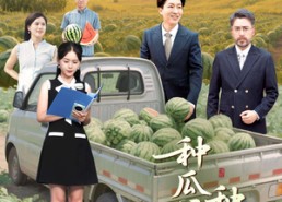 【种瓜得瓜种豆得豆】30集短剧全集免费在线赏