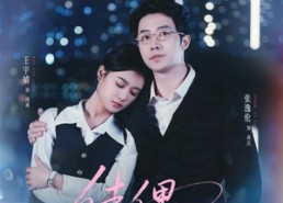 【佳偶渐成】71集在线免费短剧全集赏