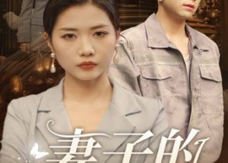 【妻子的伪装】30集免费短剧在线播放观看