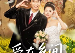 【爱在乡间情正浓】62集短剧在线免费观赏