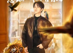 【我一家宠物店，怎么就成御兽宗了】71集短剧免费在线赏看