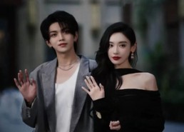 【寻欢】52集短剧全集网盘免费看观