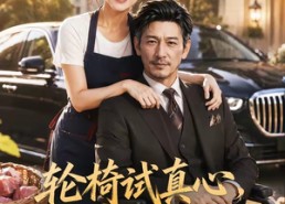【轮椅试真心，半百遇良人】53集短剧完整版免费赏看