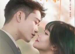 【宁愿几许】78集全集短剧线上免费看