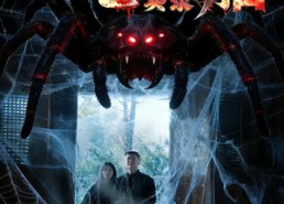 【凶宅保胎实录】64集短剧全集免费赏看