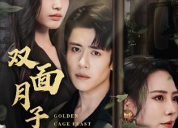 【双面月子中心】58集免费短剧在线全看