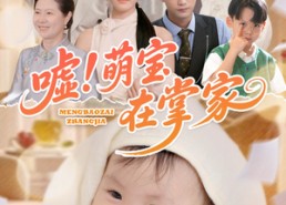 【嘘！萌宝在掌家】45集短剧免费一键观看