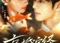 【京婚演绎】60集短剧完整版免费看
