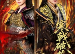 【寒戟破苍穹】80集短剧免费在线追看