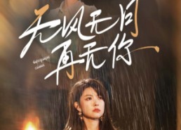 【无风无月再无你】36集短剧全集在线免费播放