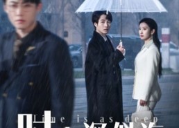 【时光深似海】35集免费短剧全集在线赏