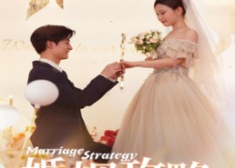 【婚姻攻略之星光璀璨】32集短剧免费全集在线观影