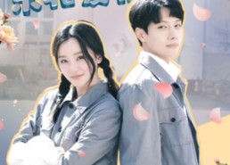 【繁花之东北爱情故事】56集短剧免费在线全集览