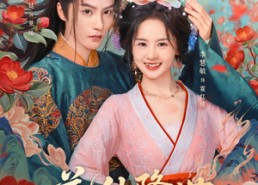【花仙降世，帝君连夜改追妻剧本】80集短剧免费全集在线观映