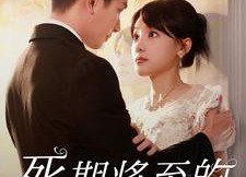 【死期将至的华丽复仇】100集短剧全集免费观