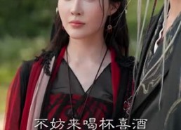 【君心见月明】63集短剧免费全集观享