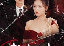 【荆棘玫瑰】100集短剧在线免费享看