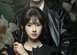 【黑暗荣耀】66集优质短剧免费在线欣赏