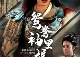 【鸳鸯袖里握兵符】88集短剧全集免费看