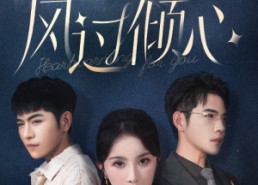 【风过倾心】62集短剧免费在线全集观享