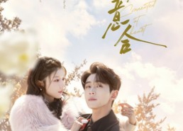 【情投意合】60集精彩短剧在线免费播放