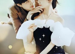 【佳人心向暖】82集短剧在线免费览观