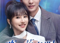 【昨夜花未眠】32集短剧免费全集直看