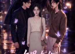 【左男右女】63集短剧免费高清观看