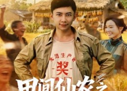 【田间仙农之我的蔬菜能治病】81集短剧免费在线全集速览