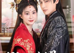 【别惹侯府主母，她夫君宠妻无度】70集短剧免费在线完整观看