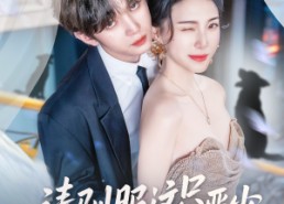 【请驯服这只恶少】71集短剧全集免费畅看