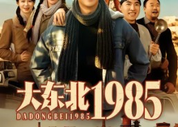 【大东北1985】84集精彩短剧全集免费观览