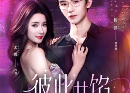 【彼此共馅】63集优质短剧免费在线看