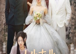 【人生南北多歧路】45集短剧在线免费赏览