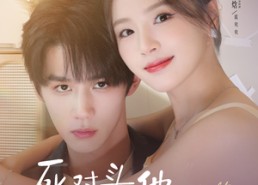 【死对头他总想对我贴贴】77集在线短剧免费全览看