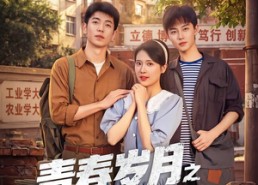 【青春岁月之东北往事】61集短剧免费全集赏看