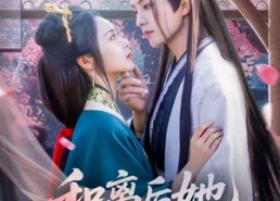 【和离后她高攀不起】85集短剧完整版速看