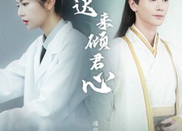 【晚晚迟来倾君心】83集在线短剧免费赏看