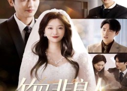 【竹马非良人我自登高门】37集短剧免费高清在线看