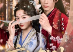 【盲妃驾到】65集在线短剧免费赏看