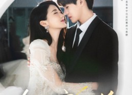 【今日宜结婚】80集短剧在线免费完整观看